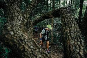 BIB: 
                            <button type="button" onclick="openModal(25391833)" class="btn btn-primary btn-sm float-right btn-popup" data-toggle="modal" data-target=".modal-high-quality">
                        <i class="fas fa-shopping-cart"></i> Add to Cart
                    </button>
                                            <button type="button" onclick="isThisMe(25391833, true)" class="btn btn-success btn-sm float-right btn-popup btn-isme hidden" data-toggle="tooltip" data-placement="bottom" title="นี่คือรูปของคุณใช่ไหม คลิกที่นี่เพื่อเอาเข้าอัลบั้ม">
                        <i class="fas fa-plus"></i> Add to album
                    </button>
                    <button type="button" onclick="isThisMe(25391833, false)" class="btn btn-warning btn-sm float-right btn-popup btn-isnotme hidden">
                        <i class="fas fa-ban"></i> Remove from album
                    </button>